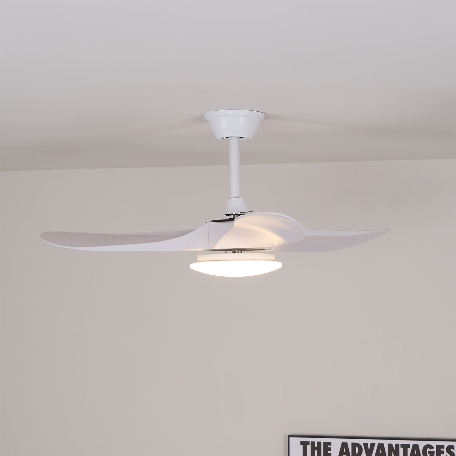 Elora Minimalist Ceiling Fan Light - Blowlighting
