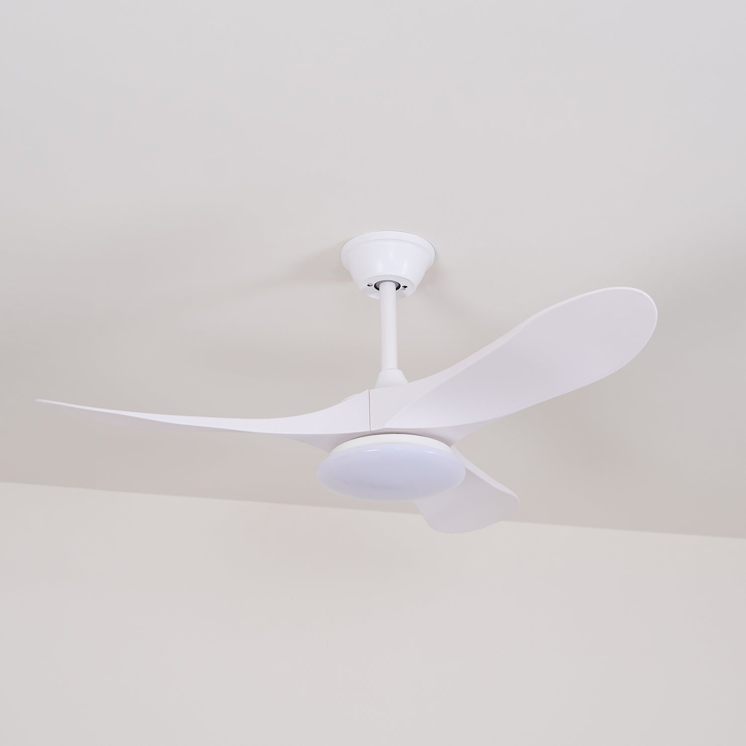 Elora Minimalist Ceiling Fan Light - Blowlighting