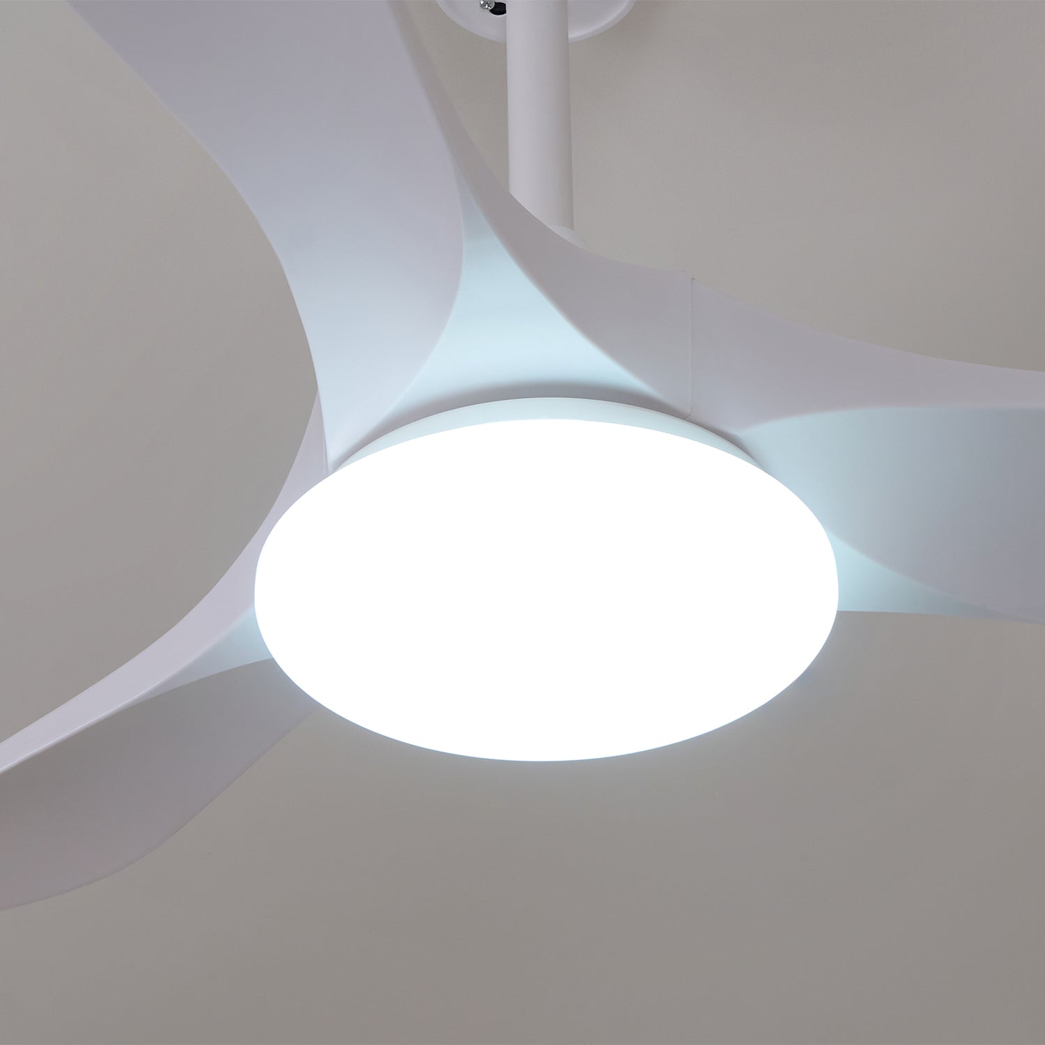 Aveline Modern Wood Ceiling Fan Light - Blowlighting