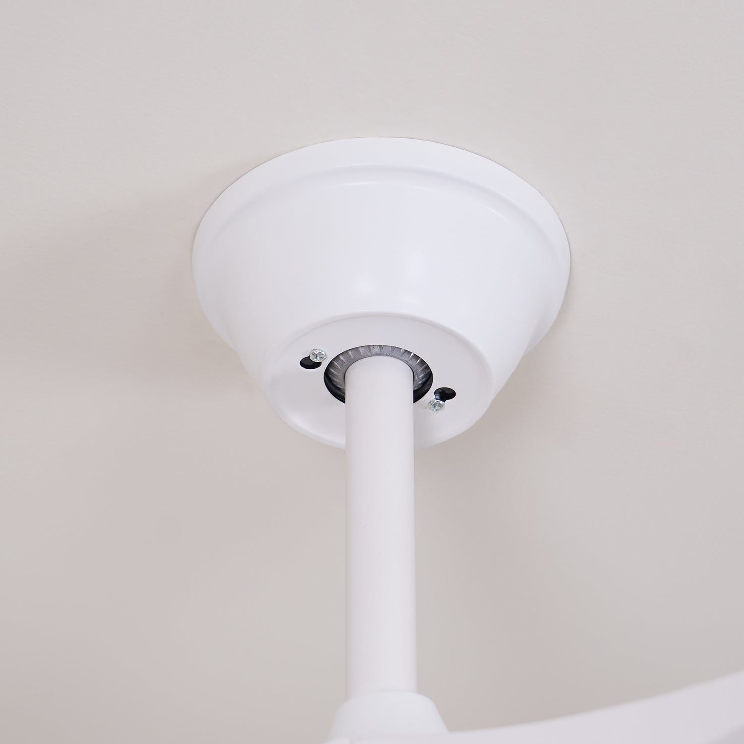 Elora Minimalist Ceiling Fan Light - Blowlighting