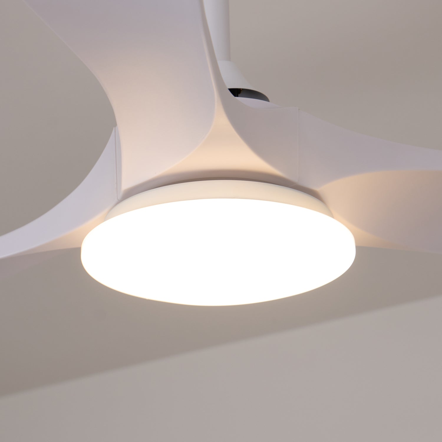 Elora Minimalist Ceiling Fan Light - Blowlighting