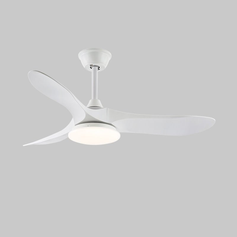 Elora Minimalist Ceiling Fan Light - Blowlighting