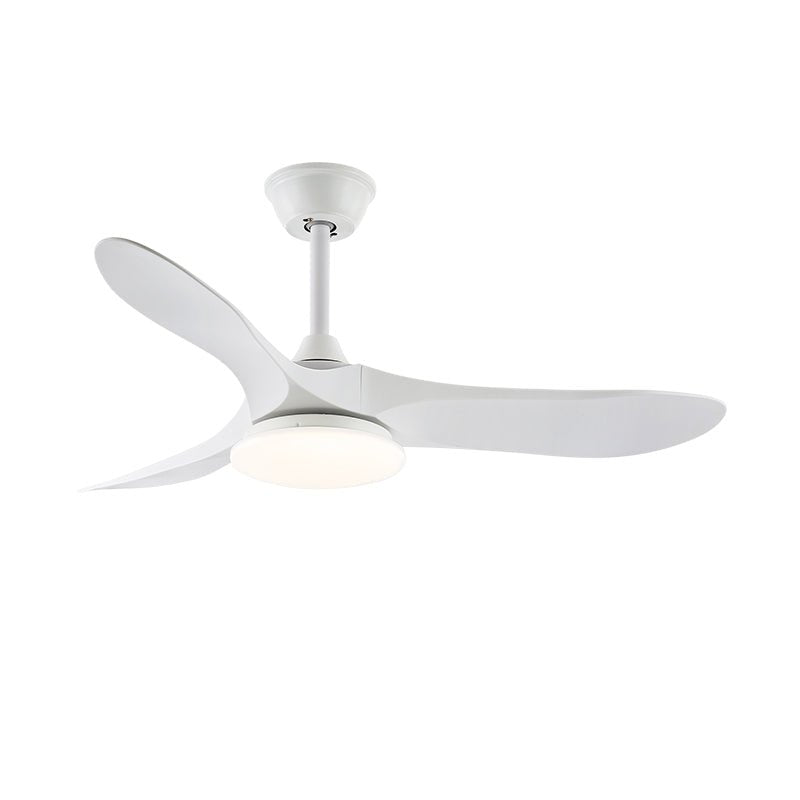 Elora Minimalist Ceiling Fan Light - Blowlighting