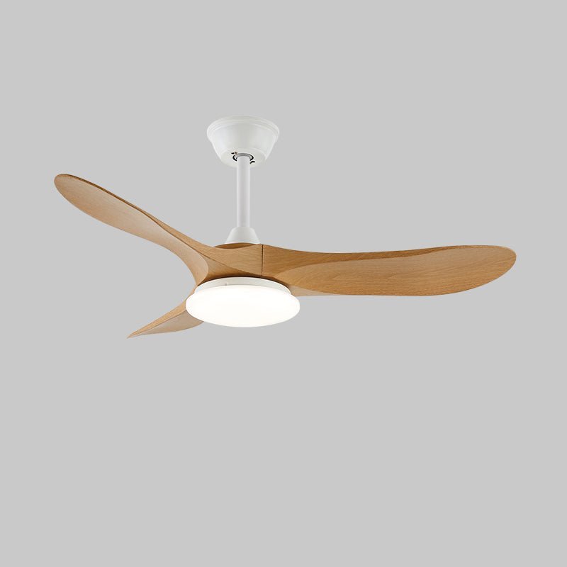 Elora Minimalist Ceiling Fan Light - Blowlighting