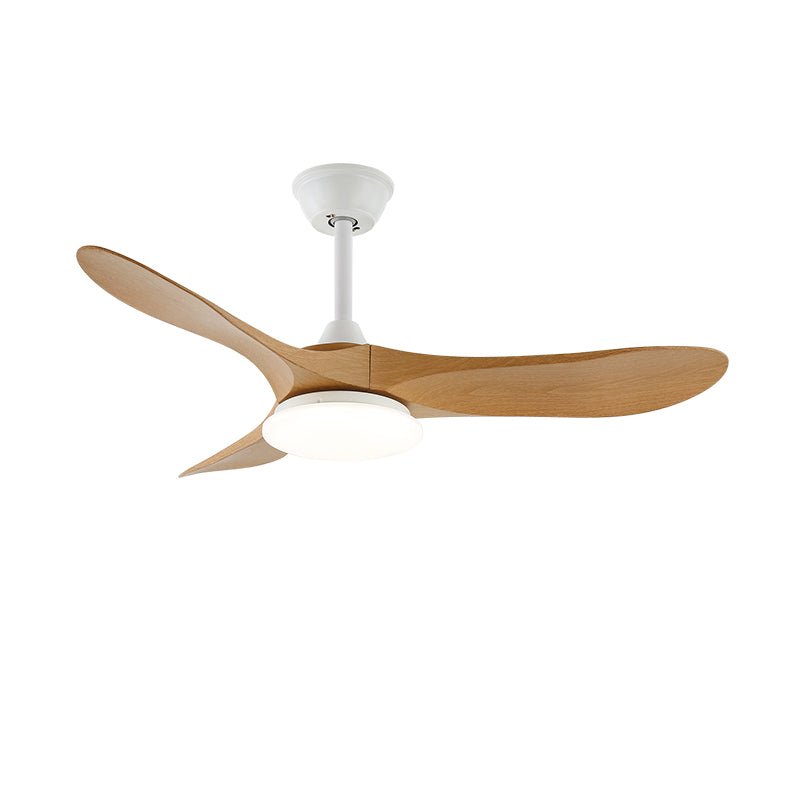 Elora Minimalist Ceiling Fan Light - Blowlighting