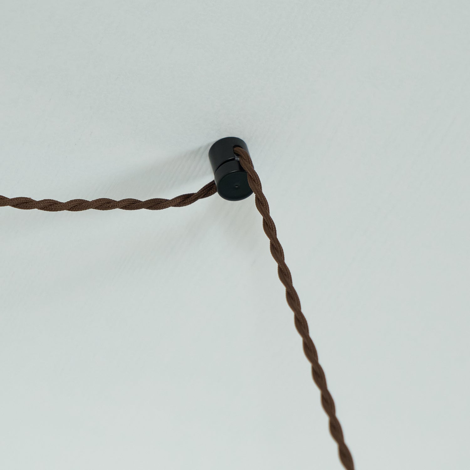 Lartheon Brown Glass Plug-In Pendant Lamp