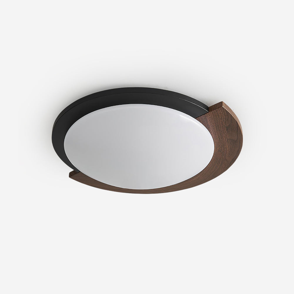 Semicircle Modern Metal Ceiling Lamp