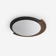 Semicircle Modern Metal Ceiling Lamp