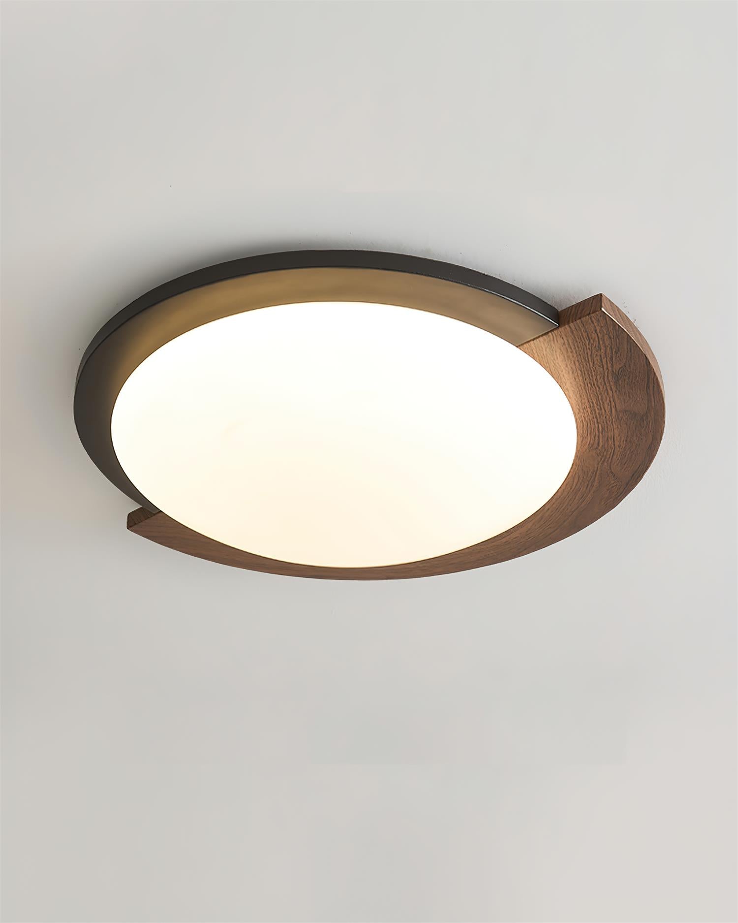 Semicircle Modern Metal Ceiling Lamp