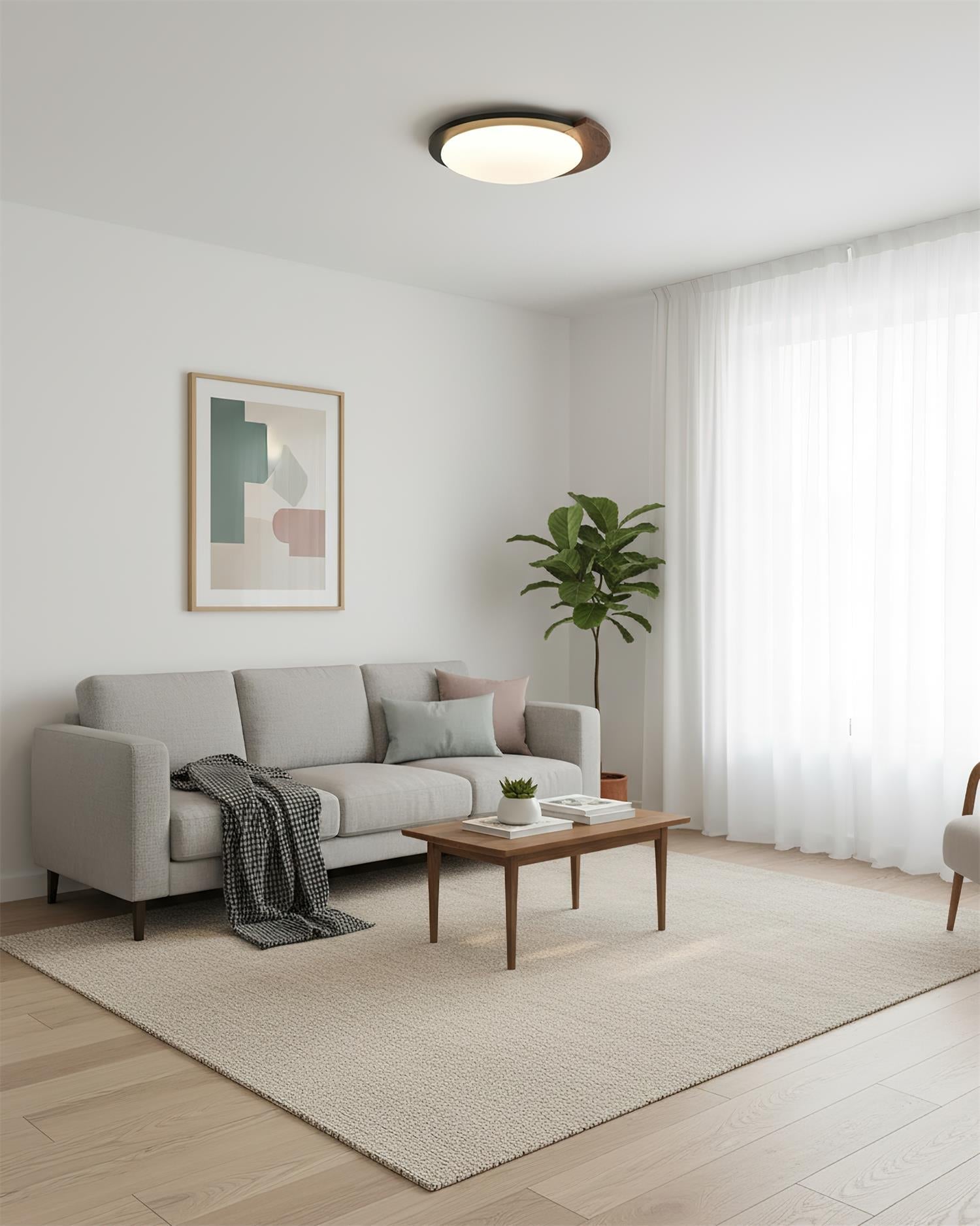 Semicircle Modern Metal Ceiling Lamp