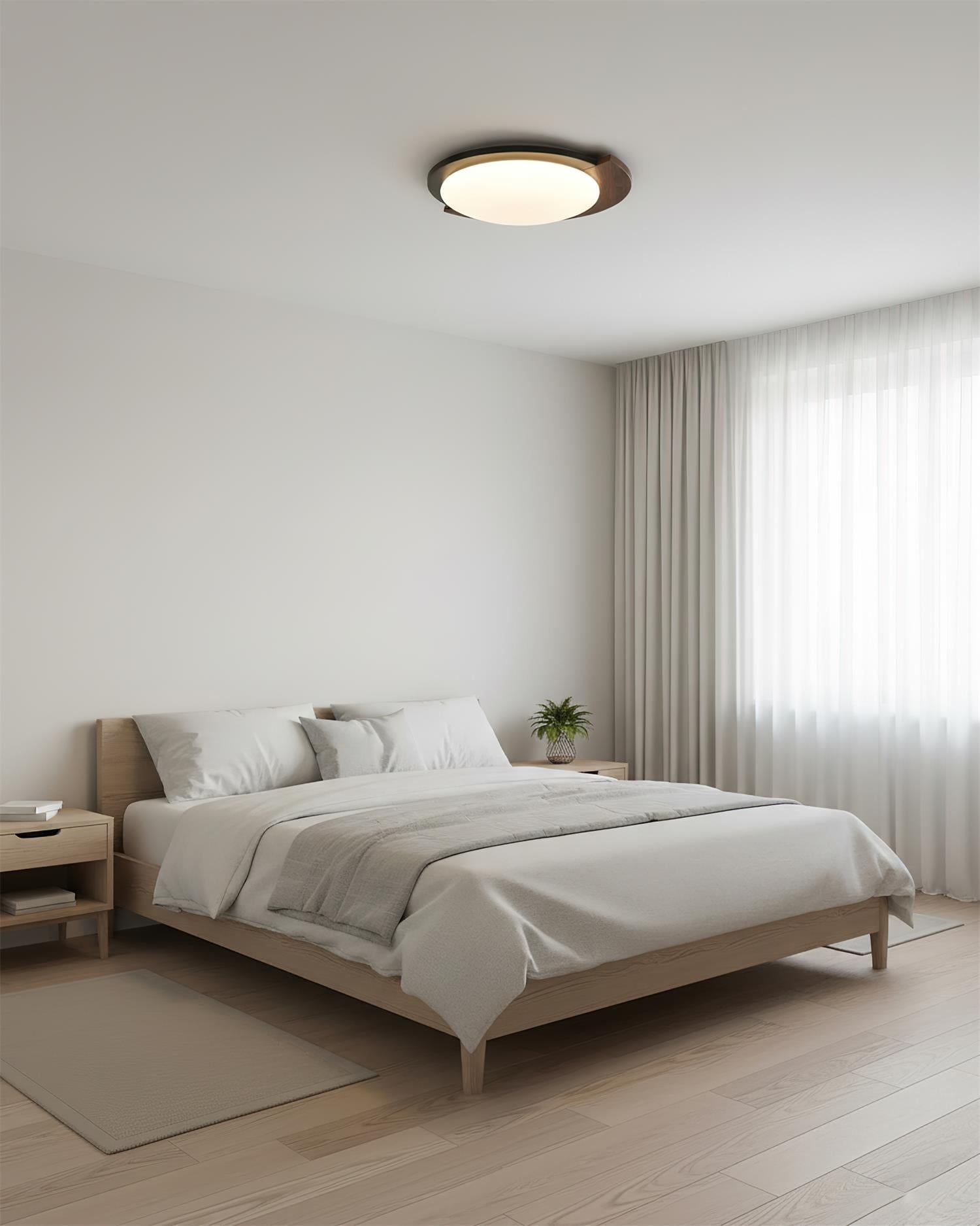 Semicircle Modern Metal Ceiling Lamp