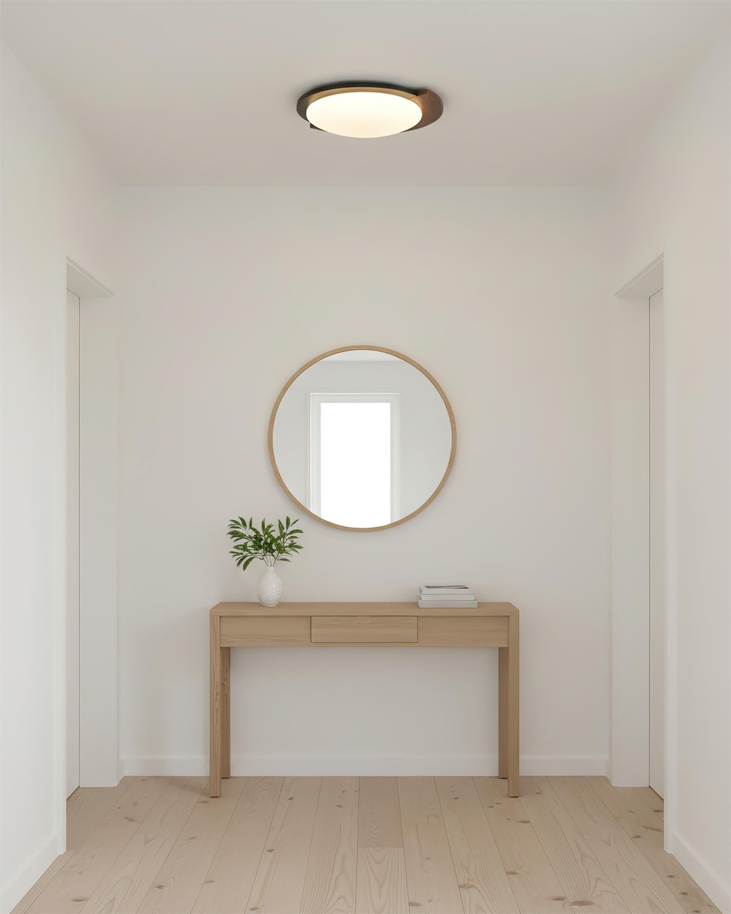 Semicircle Modern Metal Ceiling Lamp