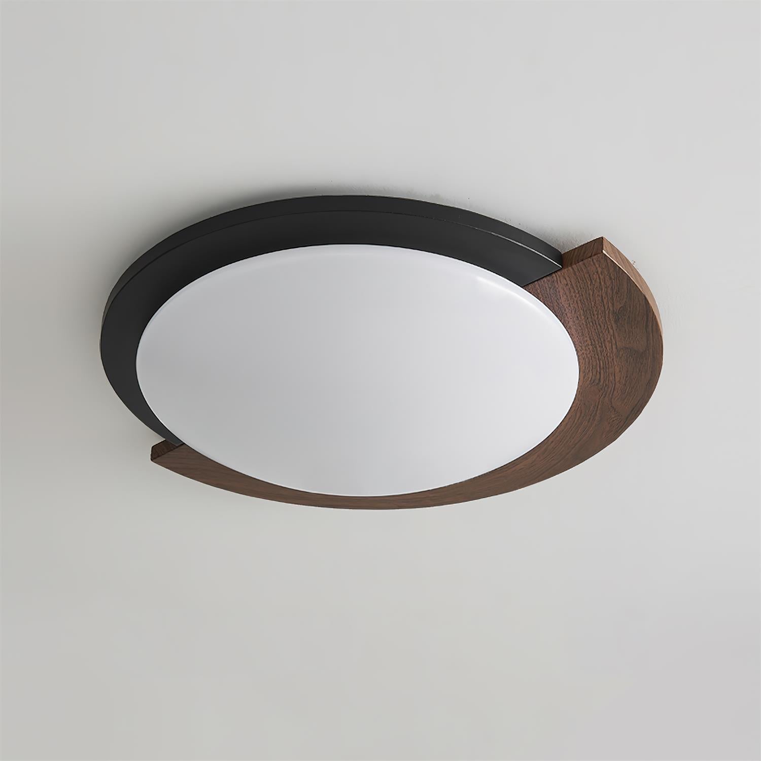 Semicircle Modern Metal Ceiling Lamp