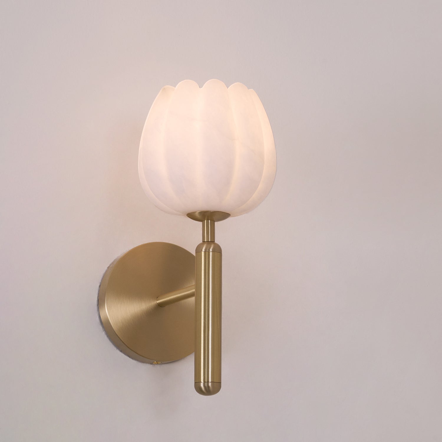 Eurzorion Floral Alabaster Brass Wall Light - Blowlighting