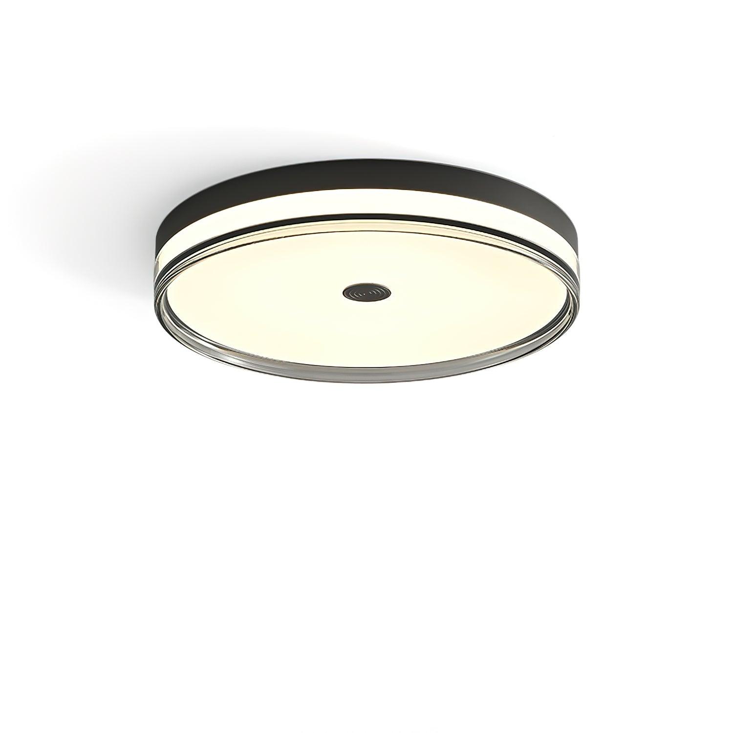 Halo Fashion Brass Ceiling Lamp - Blowlighting