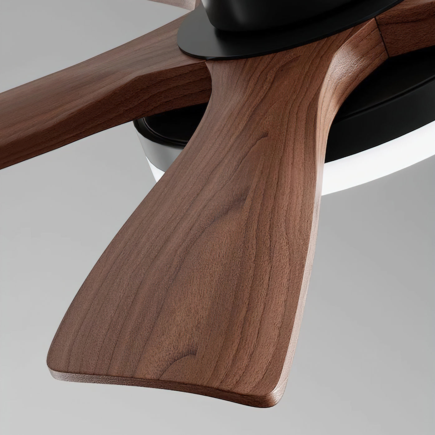 Minka Minimalist ABS Ceiling Fan Light