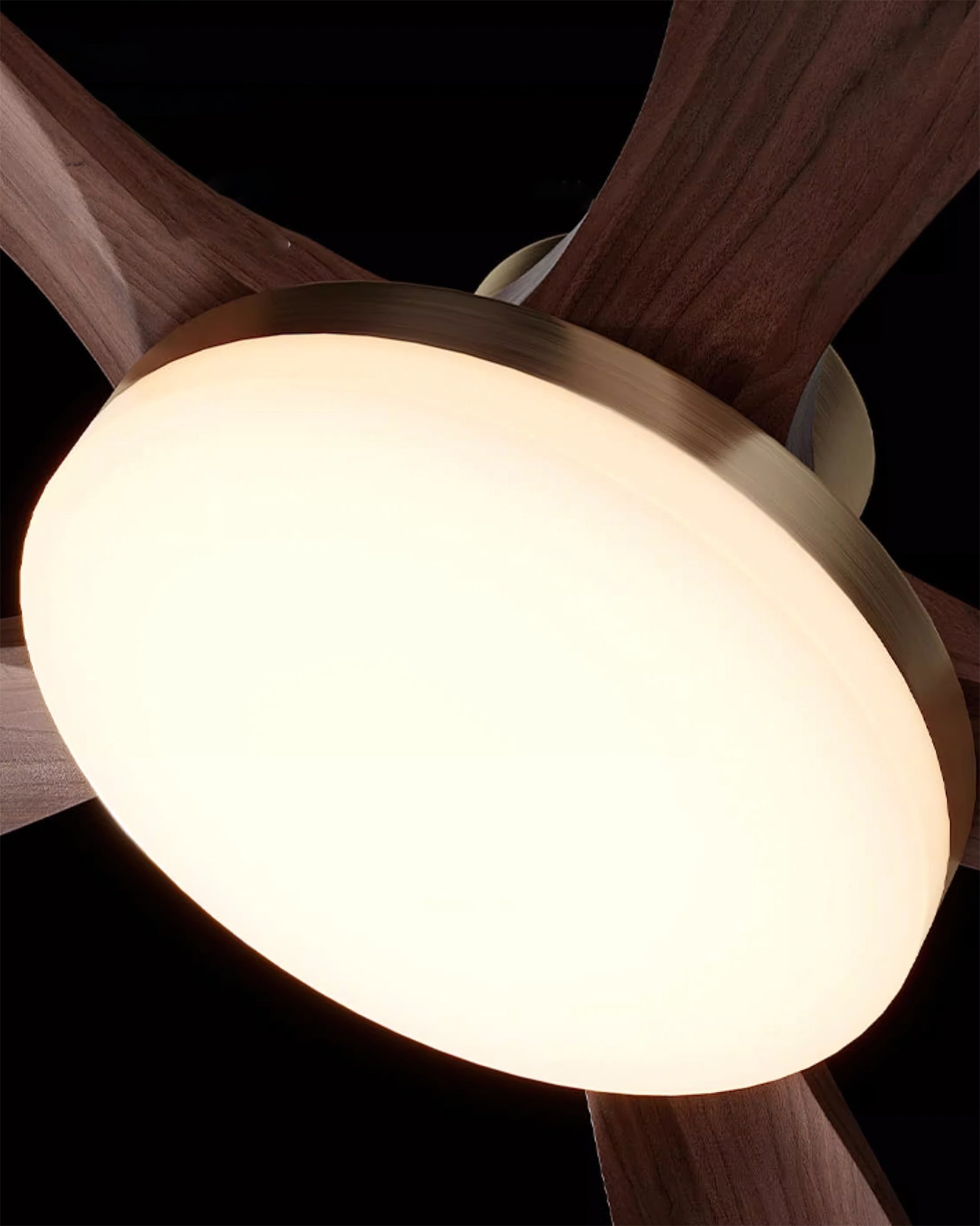 Minka Minimalist ABS Ceiling Fan Light