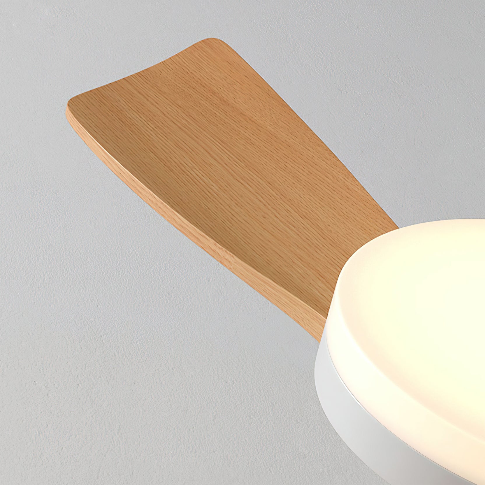 Minka Minimalist ABS Ceiling Fan Light