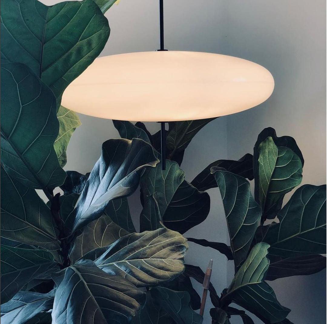 Model 2065 Pendant Lamp - Blowlighting