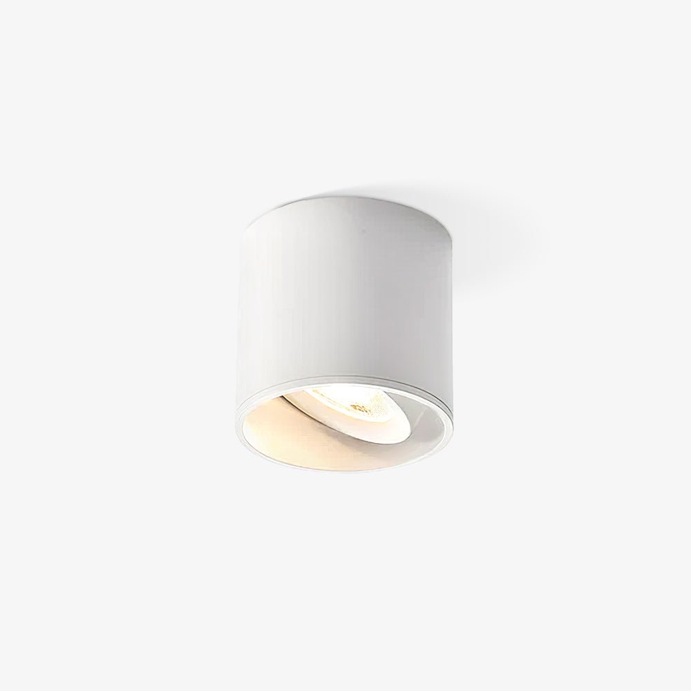 Modupoint Ceiling Light - Blowlighting