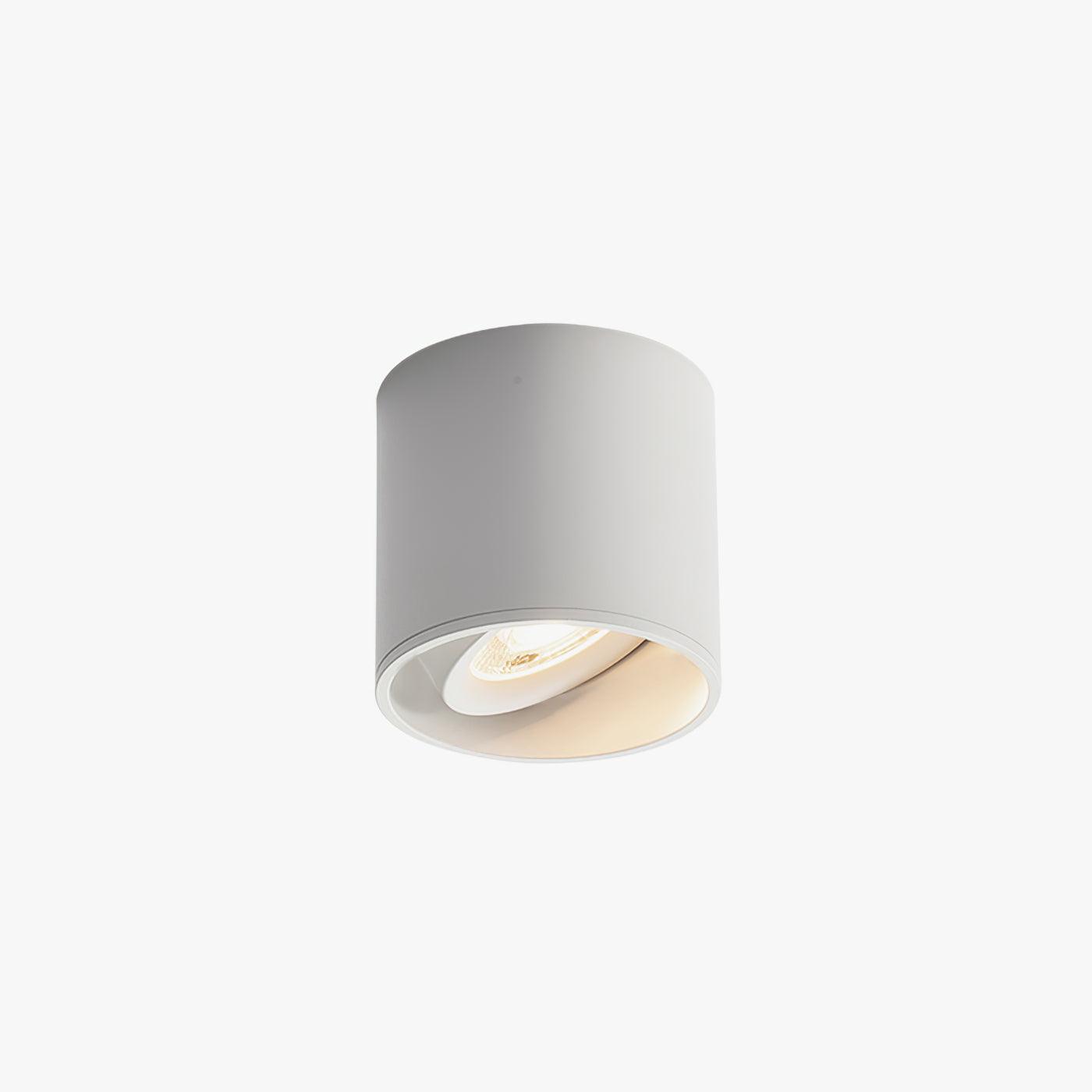 Modupoint Ceiling Light - Blowlighting