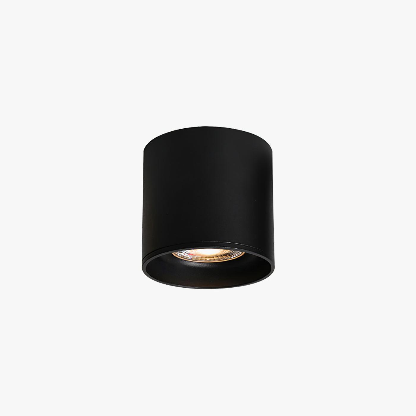 Modupoint Ceiling Light - Blowlighting