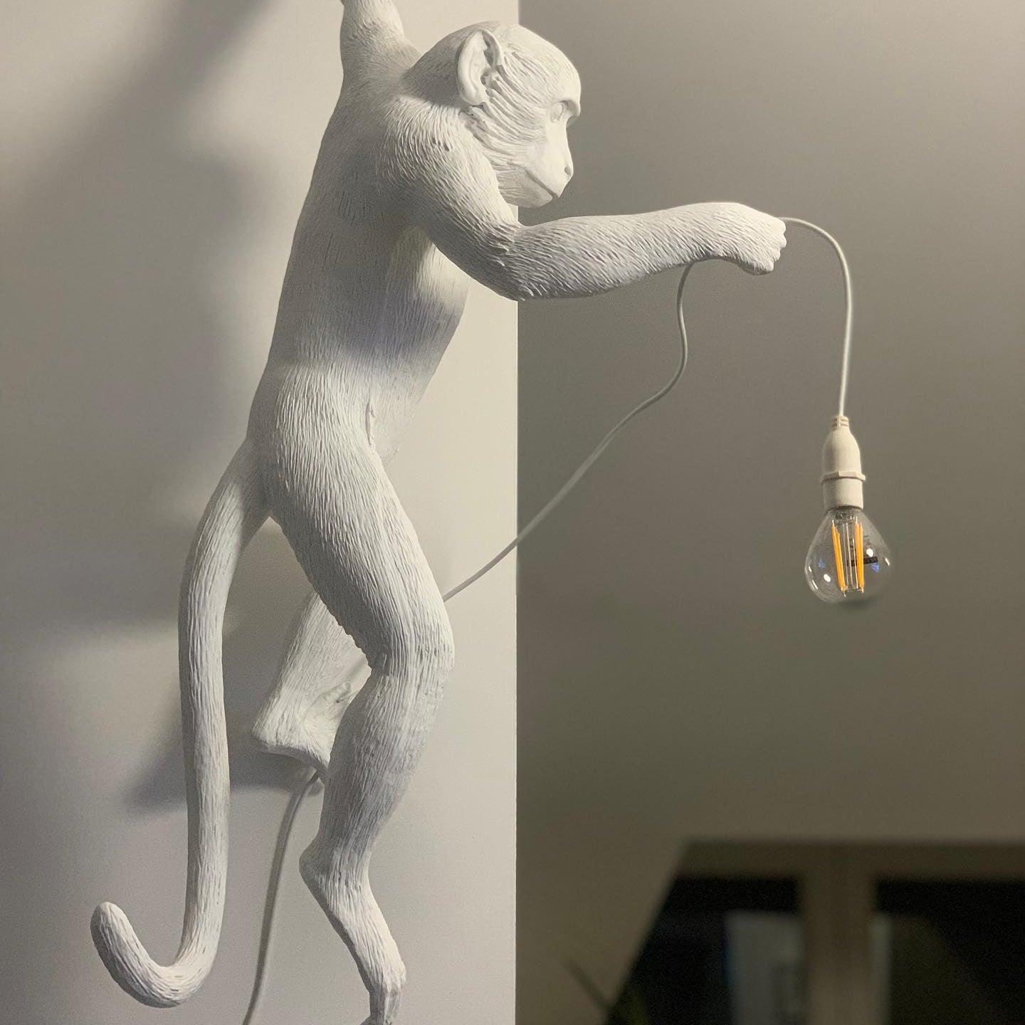 Monkey Wall Lamp - Blowlighting