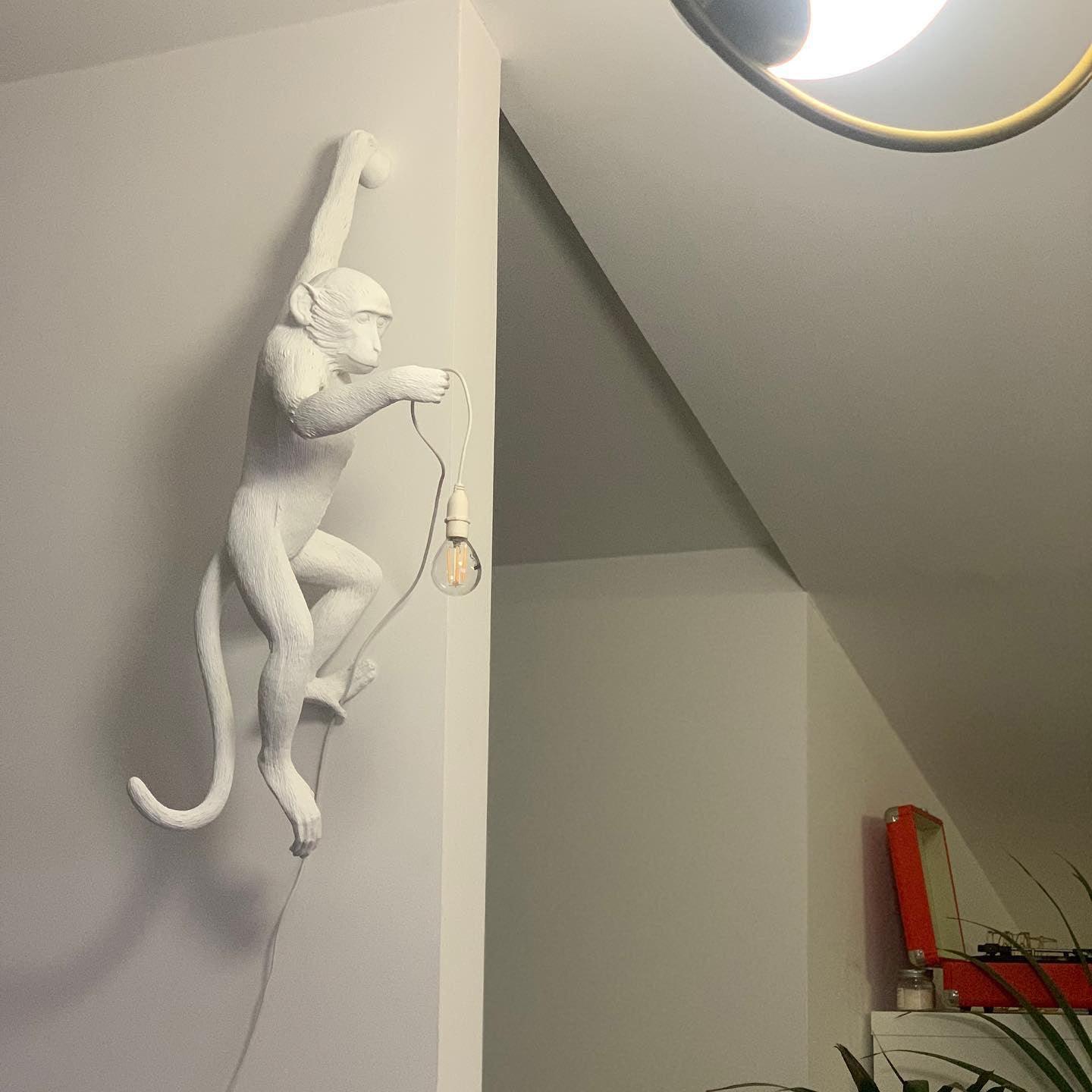 Monkey Wall Lamp - Blowlighting