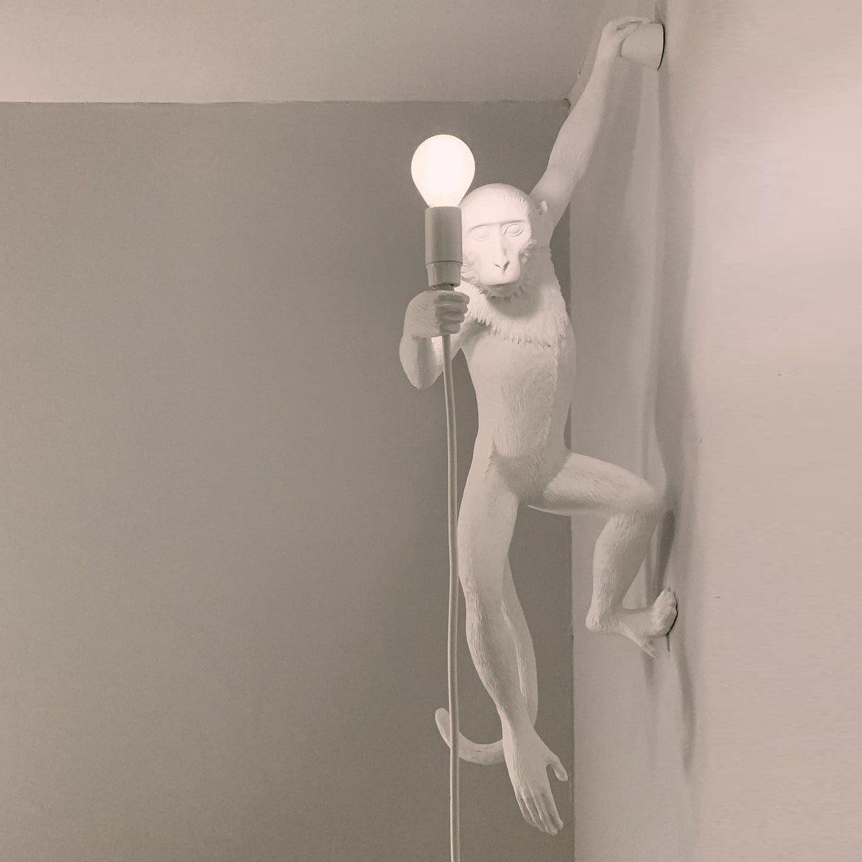 Monkey Wall Lamp - Blowlighting