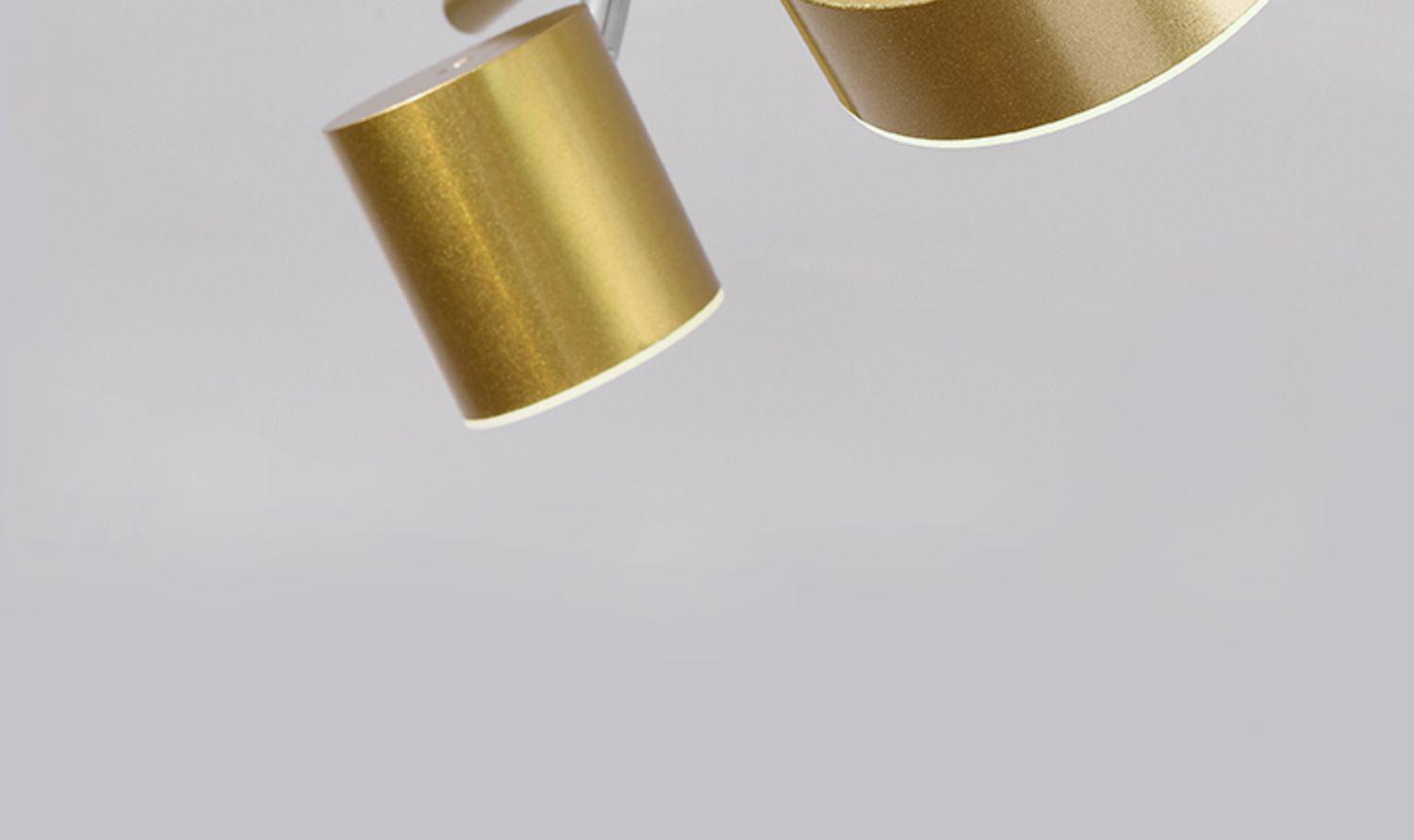 Track Light Ceiling Light - Blowlighting