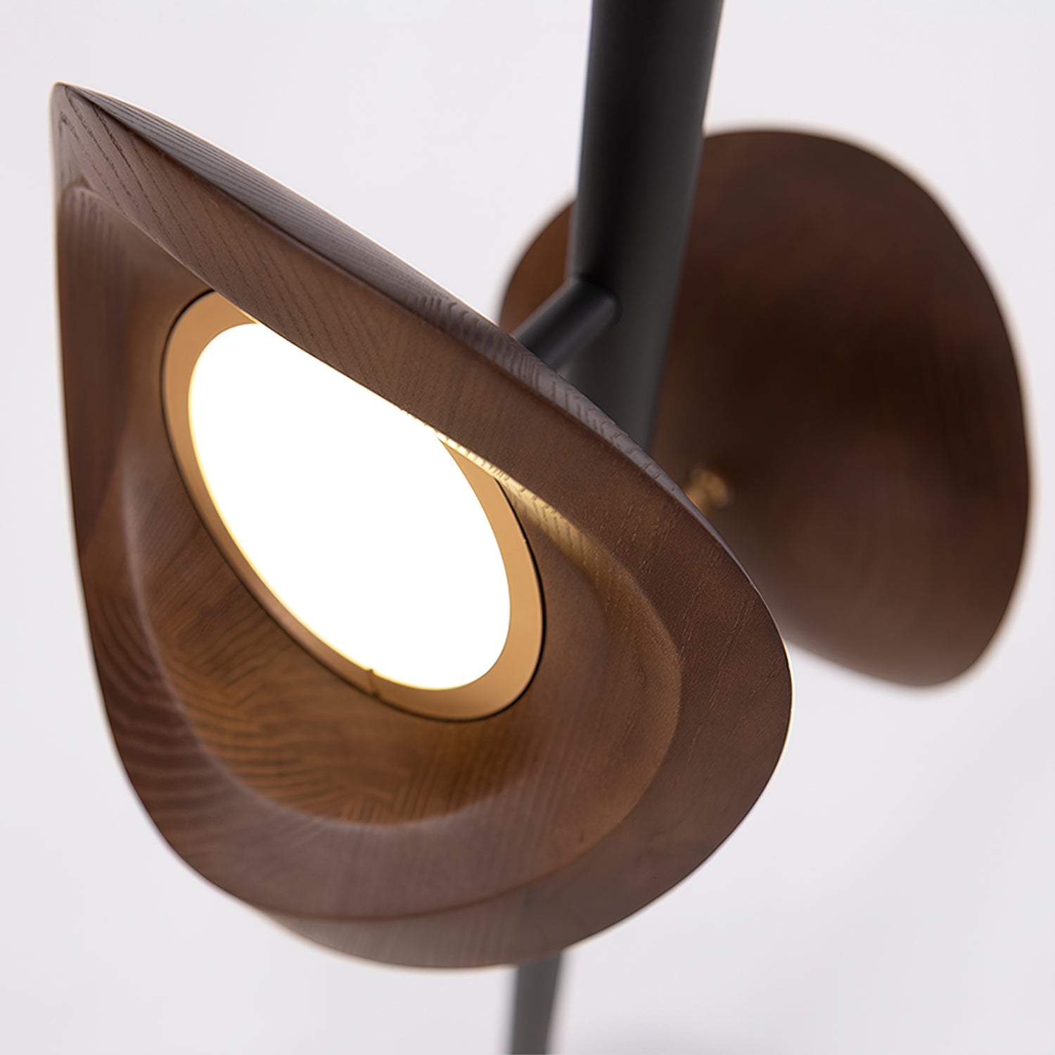 Ceyran Double Sphere Black Metal Floor Lamp - Blowlighting