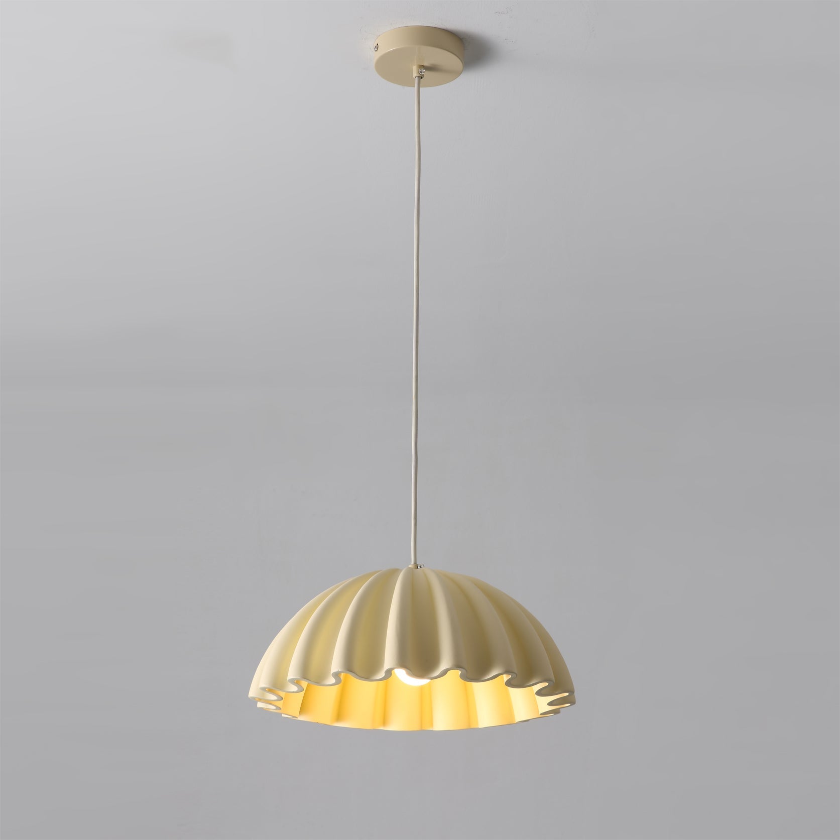 Nita Contemporary Resin Pendant Light
