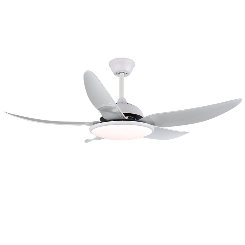 Aquila Modern Ceiling Fan Light - Blowlighting