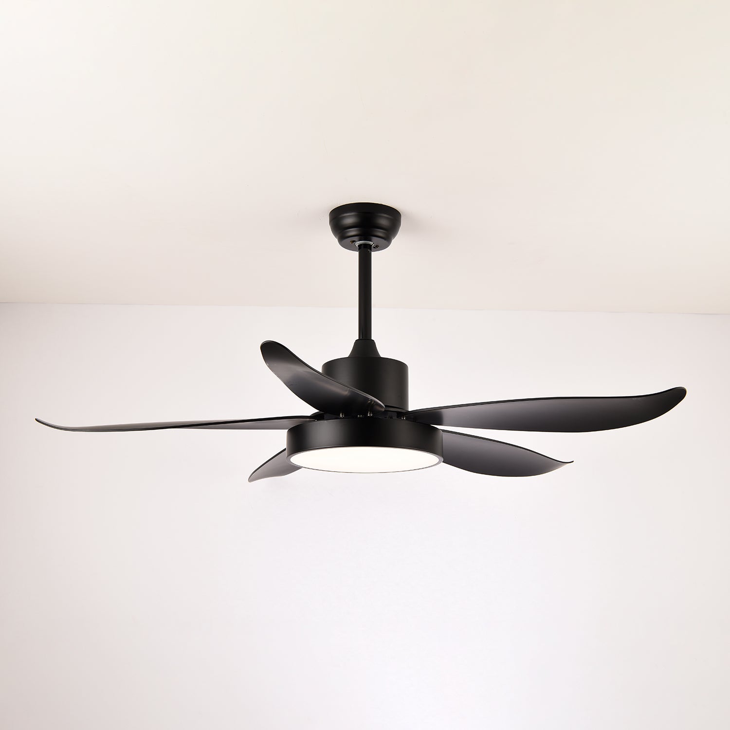 Auron Modern Ceiling Fan Light - Blowlighting