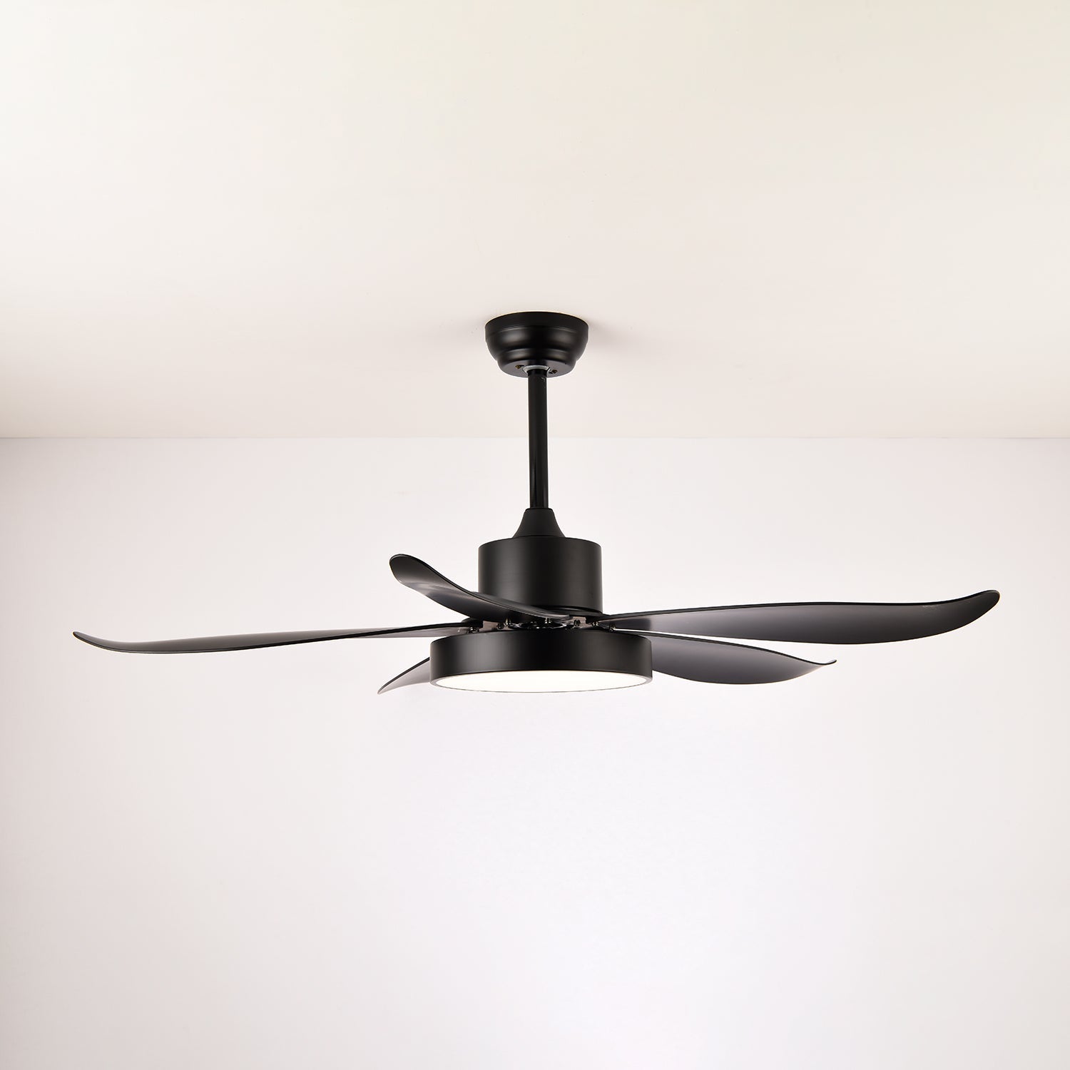 Auron Modern Ceiling Fan Light - Blowlighting