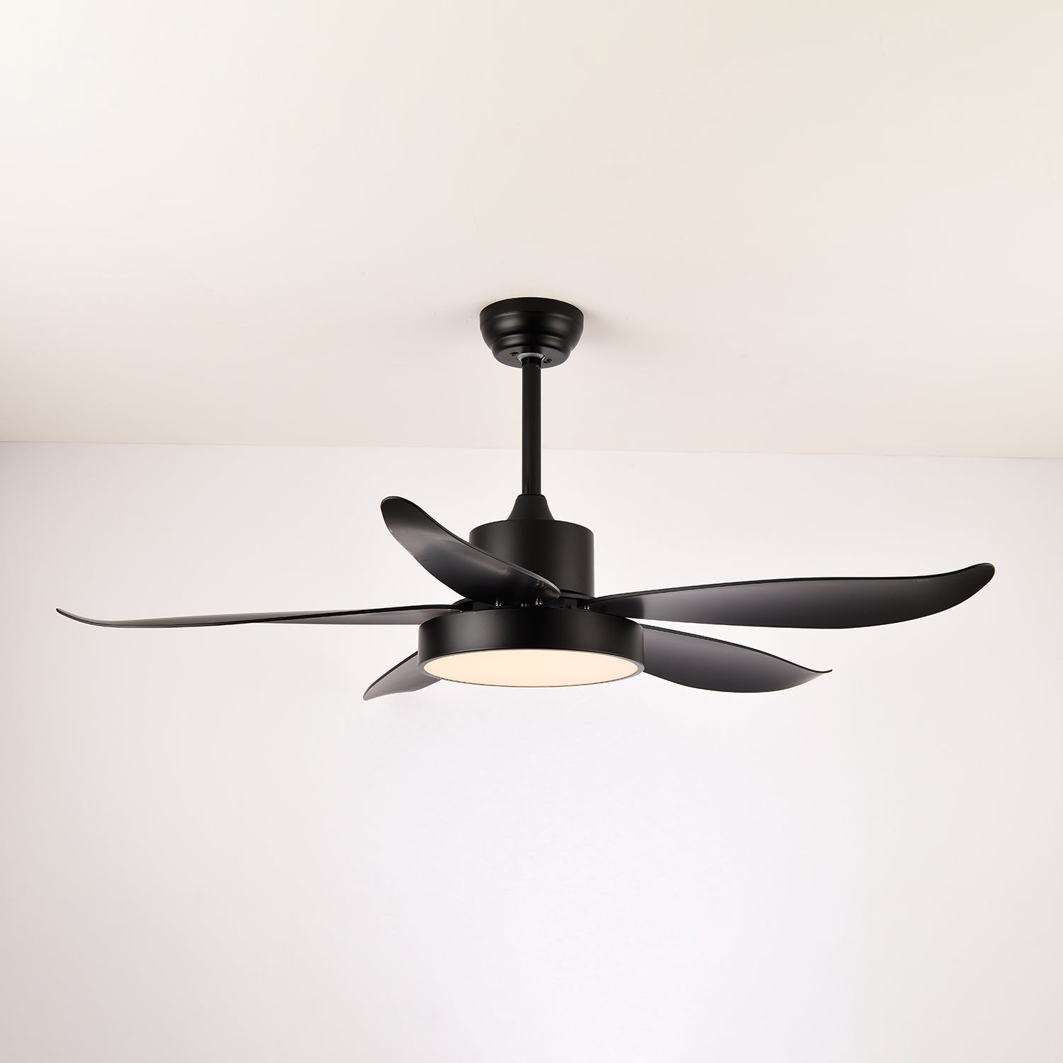 Auron Modern Ceiling Fan Light - Blowlighting