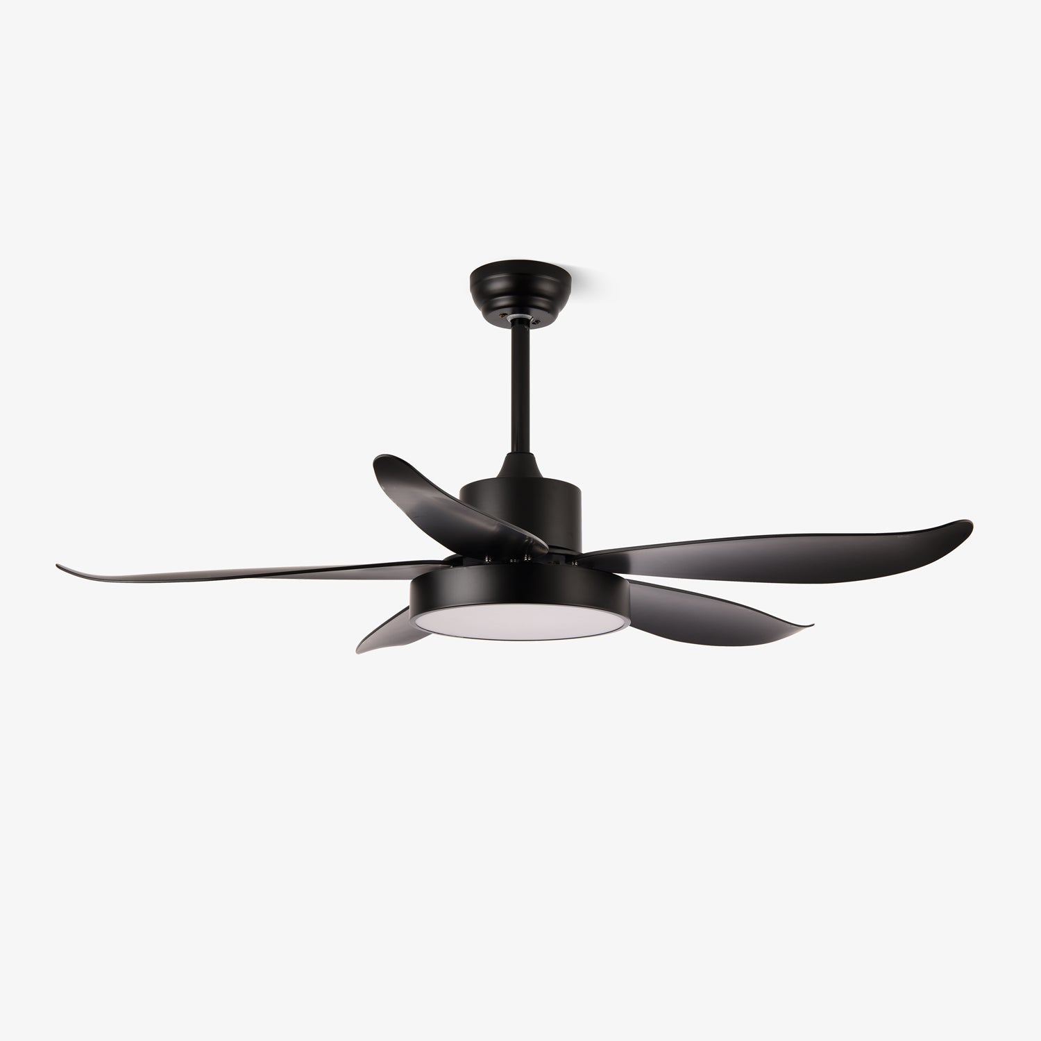 Auron Modern Ceiling Fan Light - Blowlighting