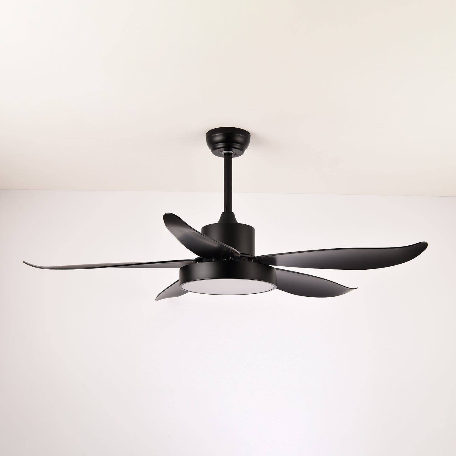 Auron Modern Ceiling Fan Light - Blowlighting