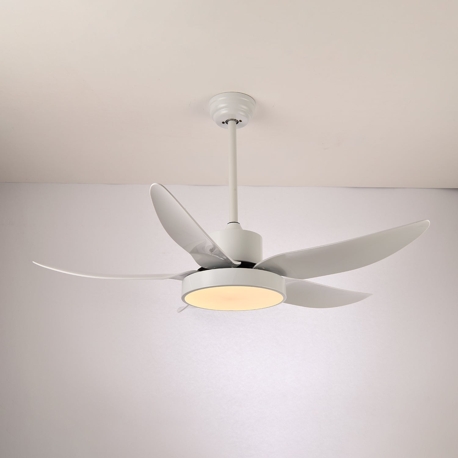 Auron Modern Ceiling Fan Light - Blowlighting