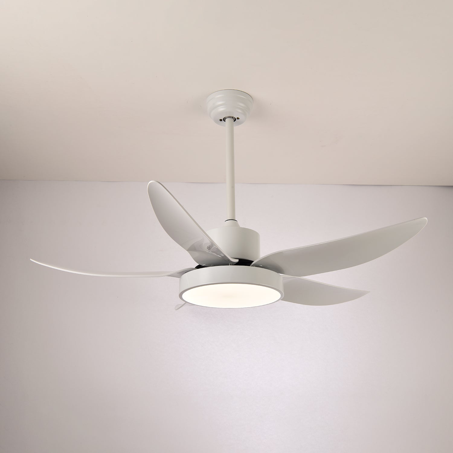 Auron Modern Ceiling Fan Light - Blowlighting