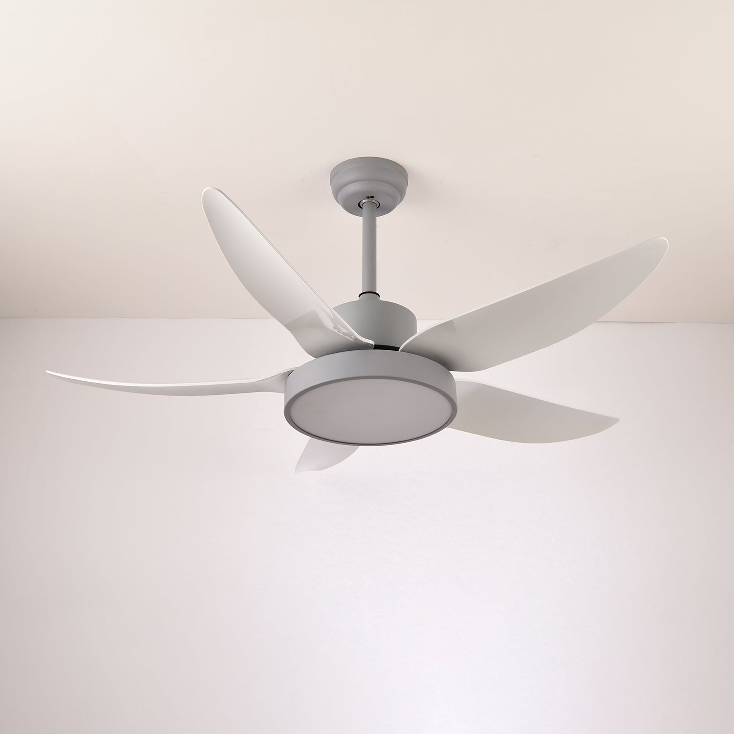 Auron Modern Ceiling Fan Light - Blowlighting