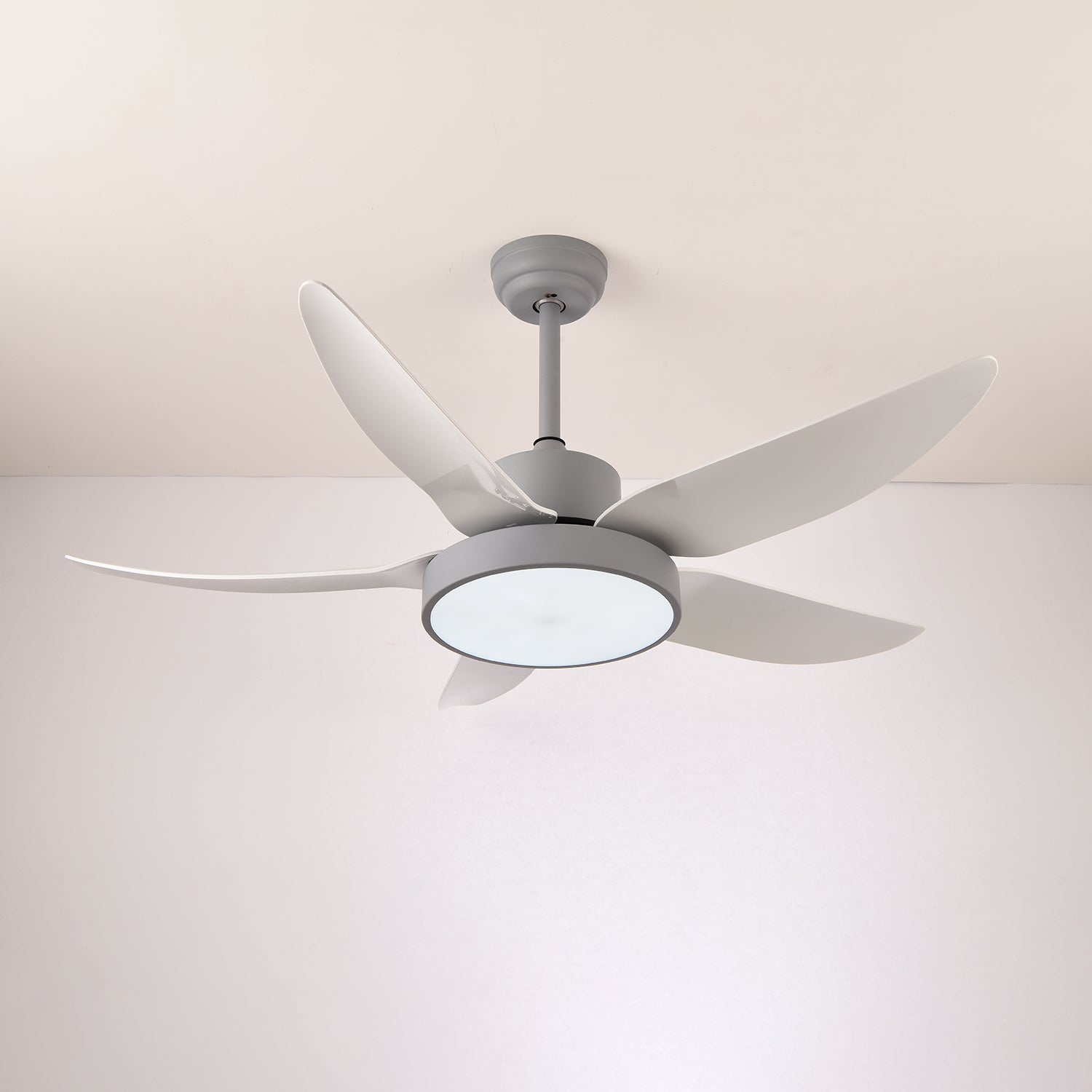 Auron Modern Ceiling Fan Light - Blowlighting