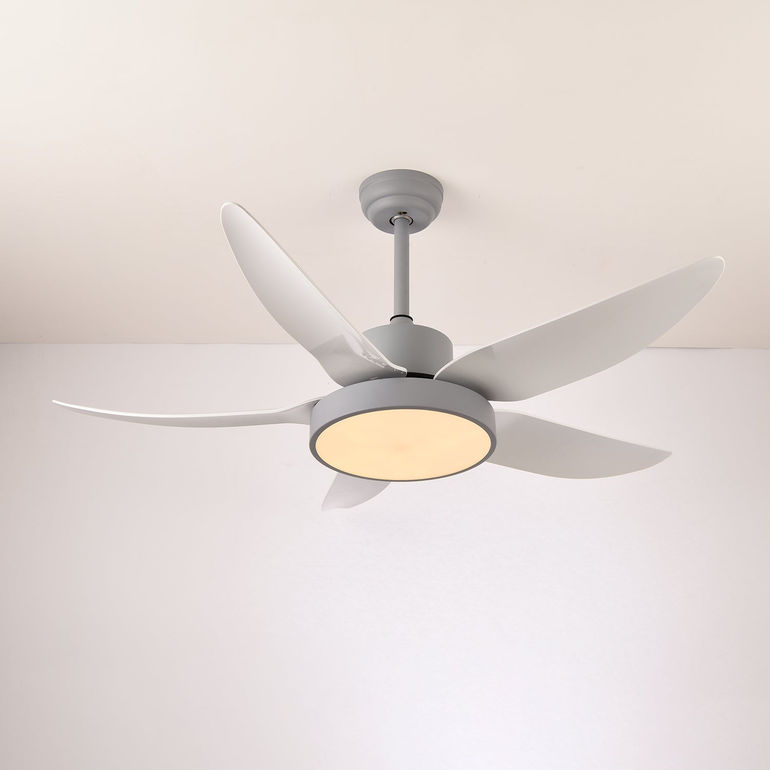 Auron Modern Ceiling Fan Light - Blowlighting