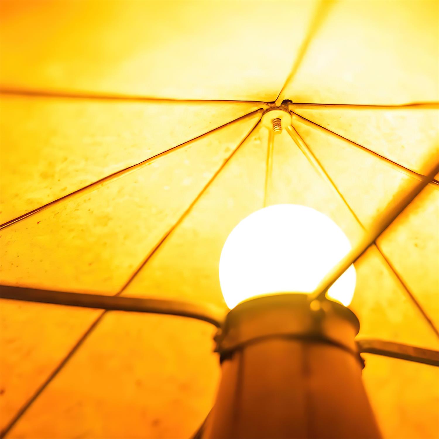 Nokta Wabi-Sabi Wood Table Light