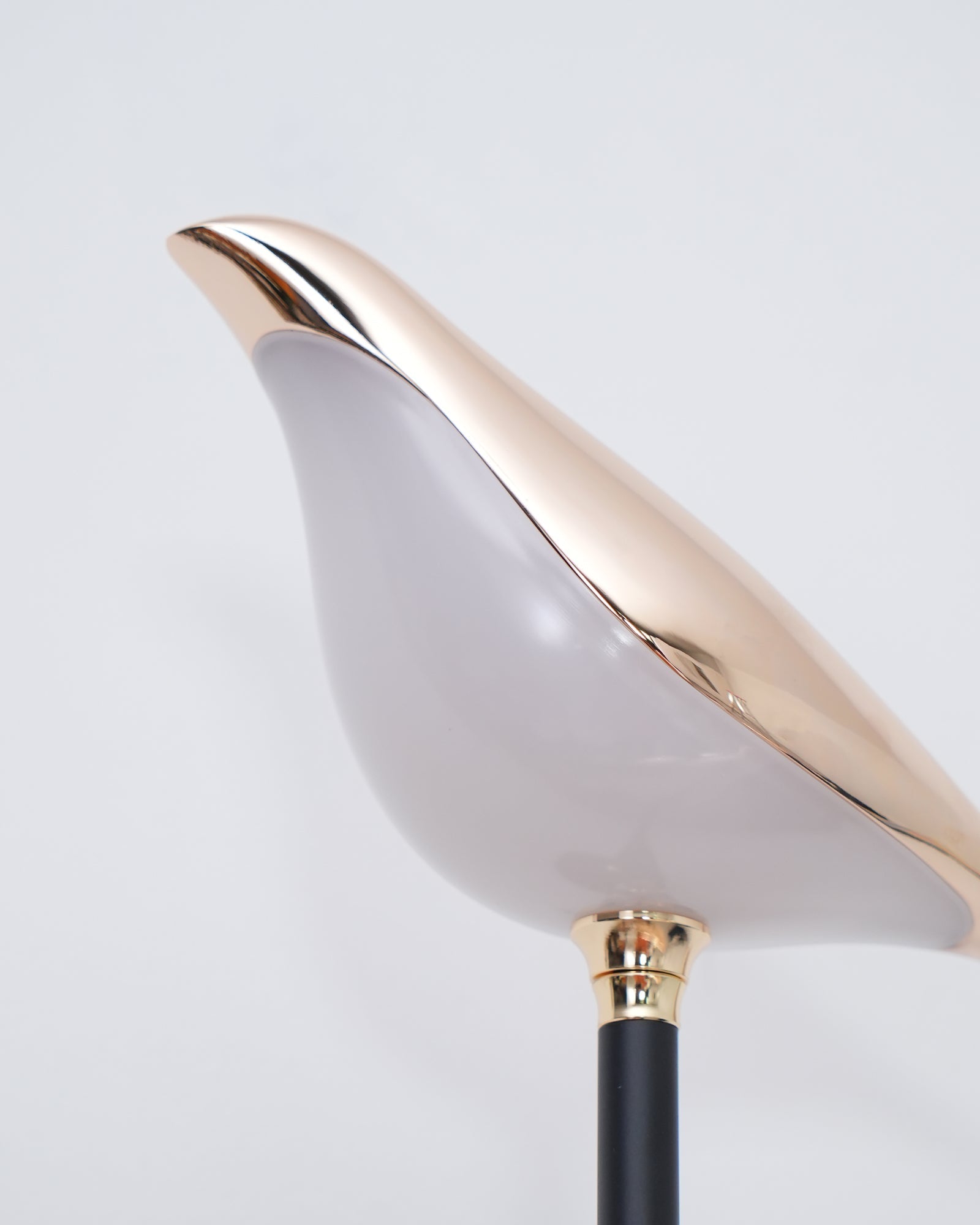 Nomi Wall lamp - Blowlighting