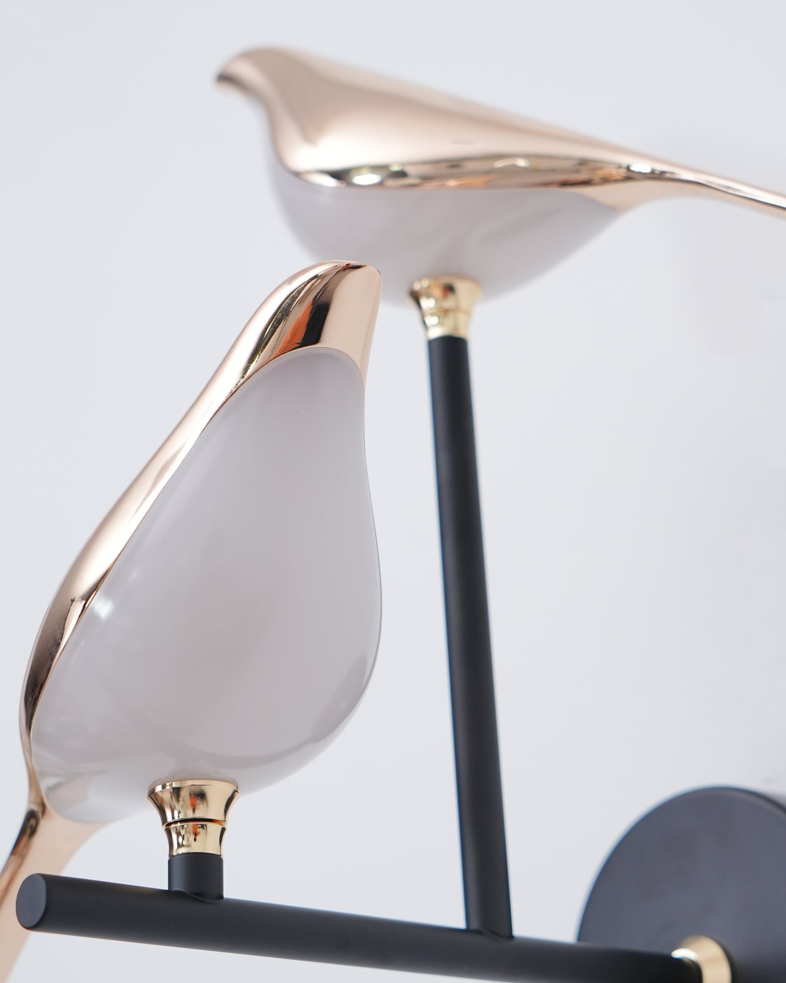 Nomi Wall lamp - Blowlighting