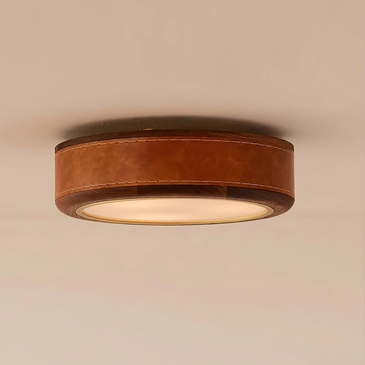 Orymir Minimalist Wood Ceiling Lamp