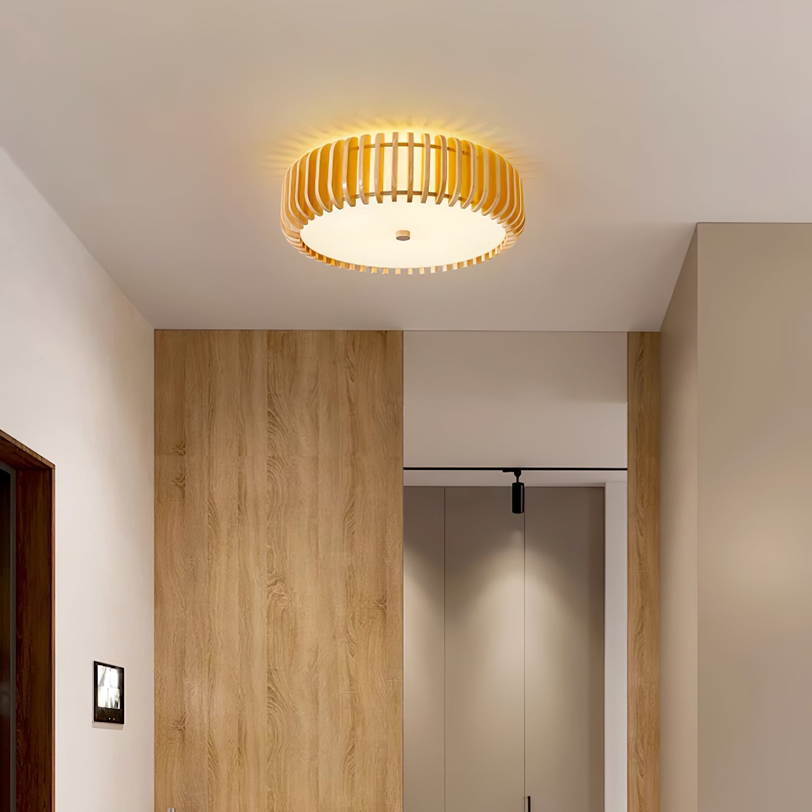 Oakflare Ceiling Lamp - Blowlighting