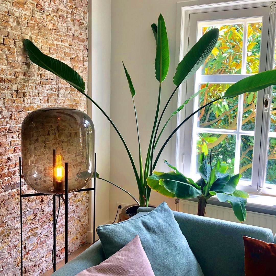 Oda Floor lamp - Blowlighting