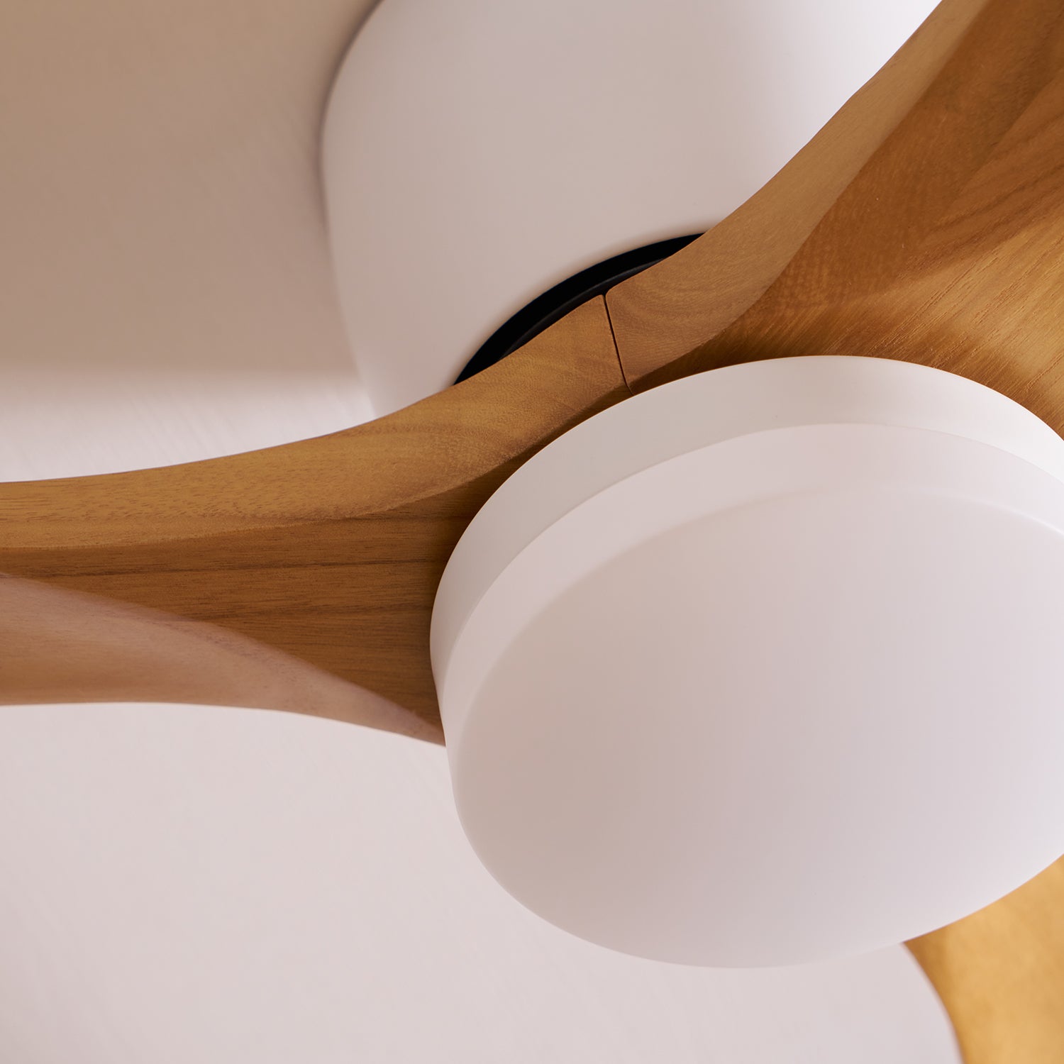 Elena Modern Wood Ceiling Fan Light - Blowlighting